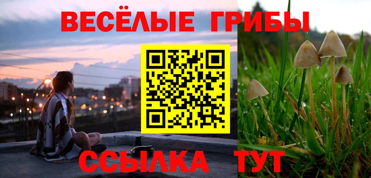 Галлюциногенные грибы ЛСД Шахты